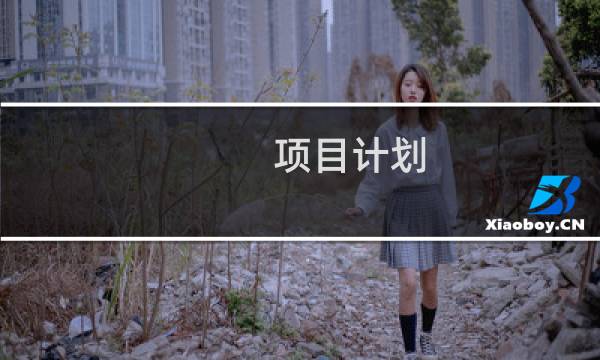 项目计划