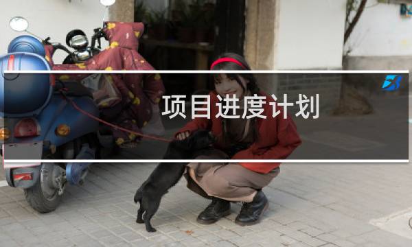 项目进度计划