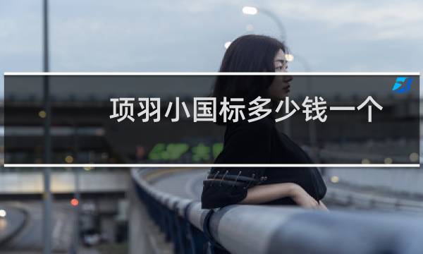 项羽小国标多少钱一个