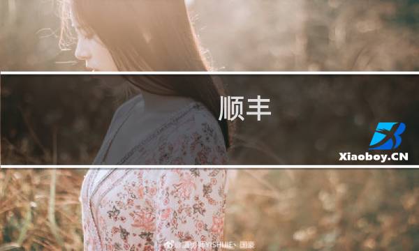 顺丰 寄电脑