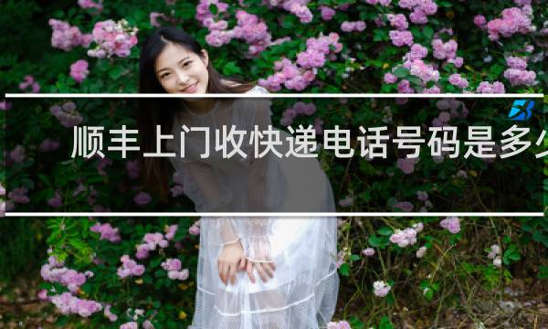 顺丰上门收快递电话号码是多少