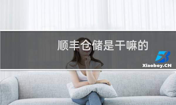 顺丰仓储是干嘛的