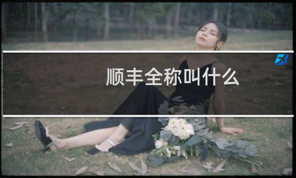 顺丰全称叫什么