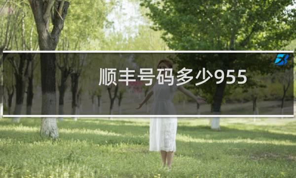 顺丰号码多少955