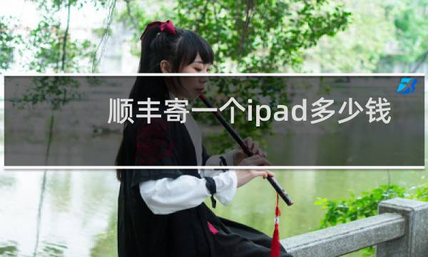 顺丰寄一个ipad多少钱