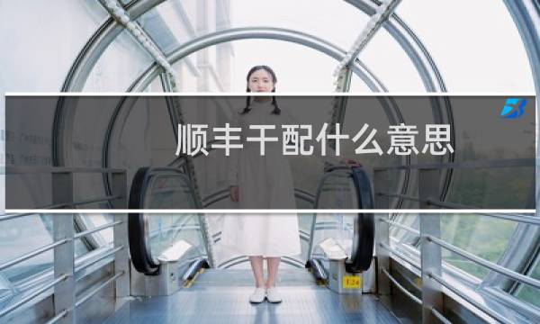 顺丰干配什么意思