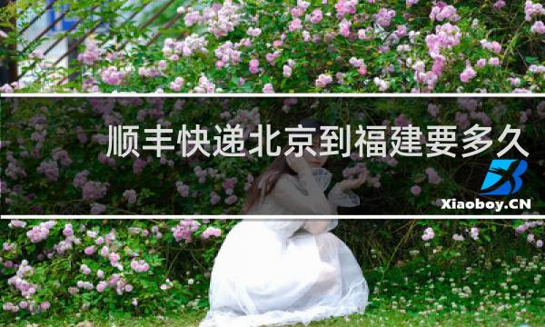 顺丰快递北京到福建要多久