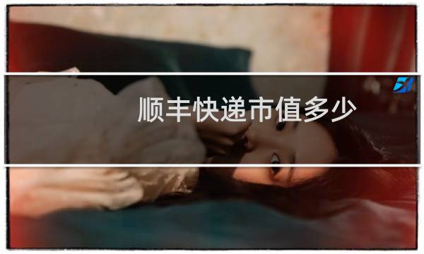 顺丰快递市值多少