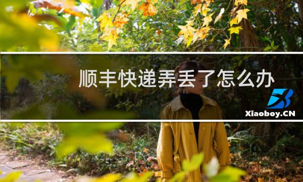 顺丰快递弄丢了怎么办