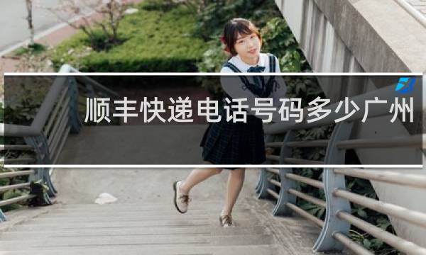 顺丰快递电话号码多少广州