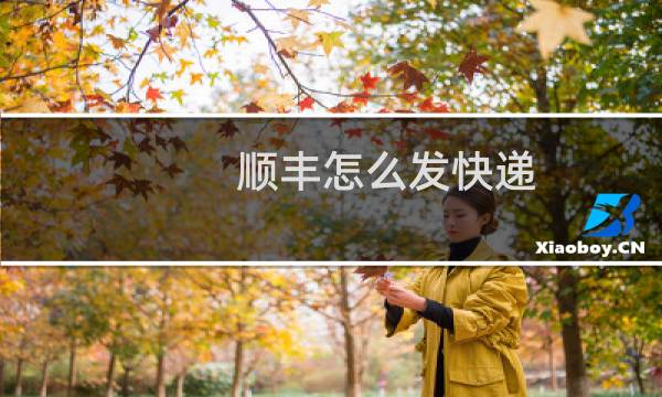 顺丰怎么发快递