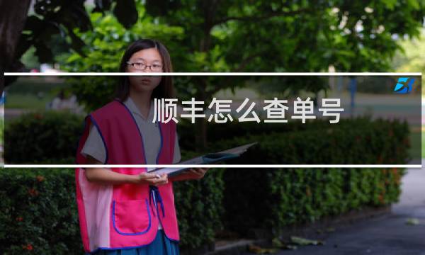 顺丰怎么查单号