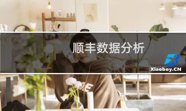 顺丰数据分析