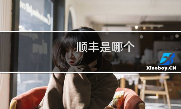 顺丰是哪个