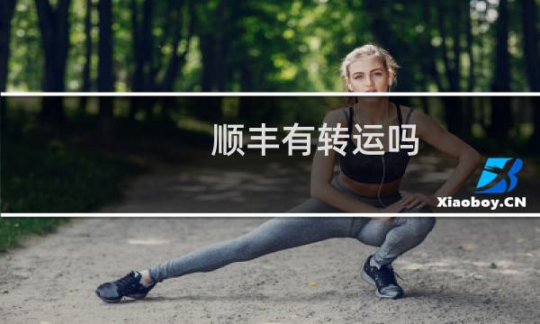 顺丰有转运吗