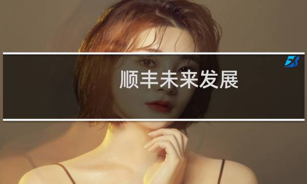 顺丰未来发展