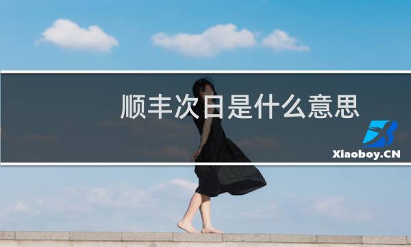 顺丰次日是什么意思