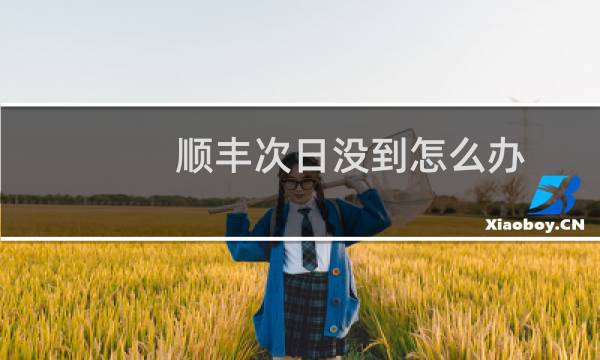 顺丰次日没到怎么办