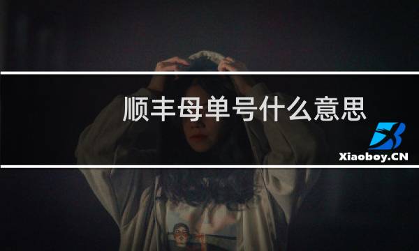 顺丰母单号什么意思