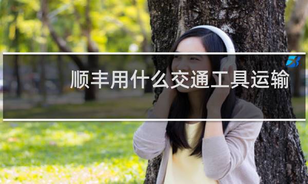 顺丰用什么交通工具运输