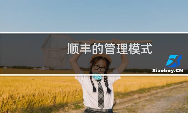 顺丰的管理模式