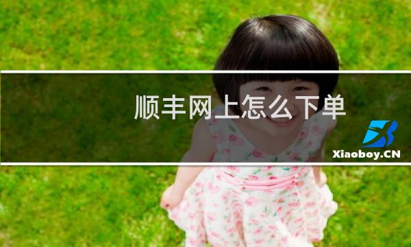 顺丰网上怎么下单