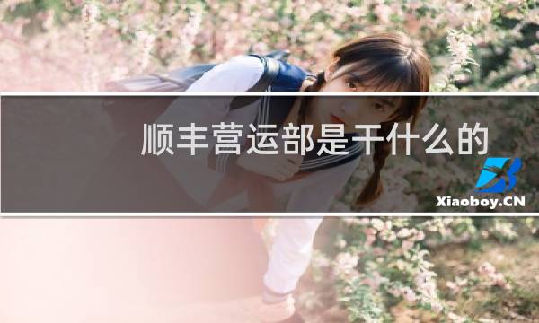 顺丰营运部是干什么的
