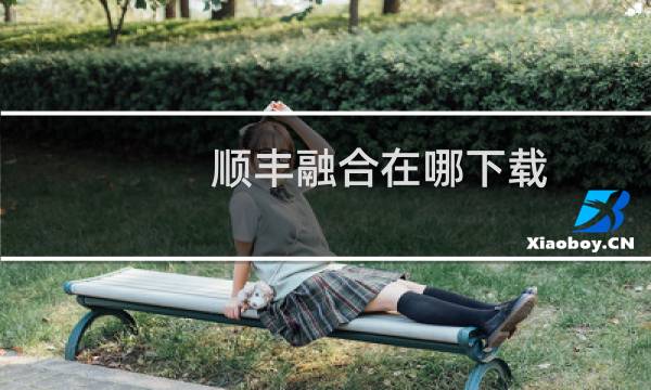 顺丰融合在哪下载
