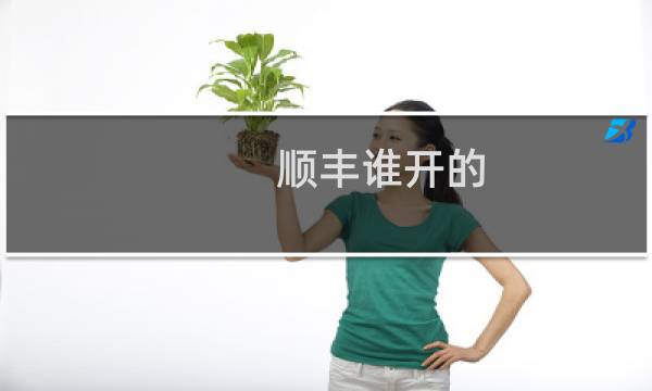 顺丰谁开的