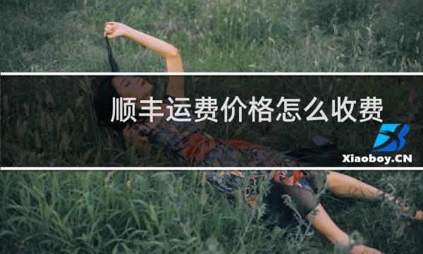 顺丰运费价格怎么收费