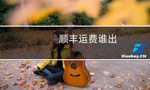 顺丰运费谁出