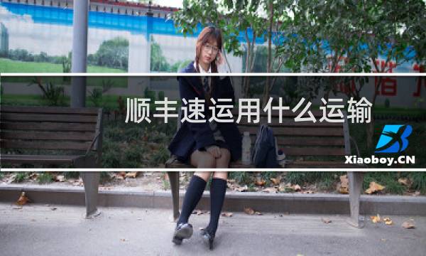 顺丰速运用什么运输