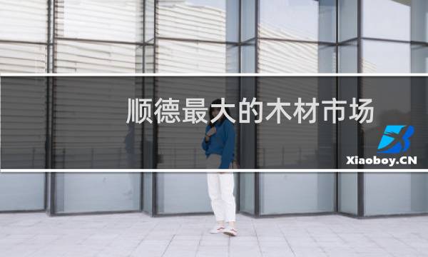 顺德最大的木材市场