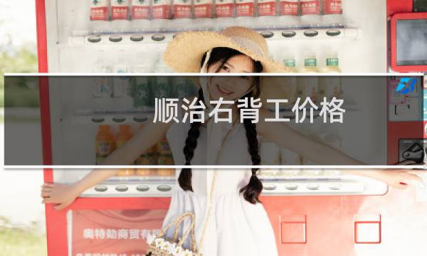 顺治右背工价格