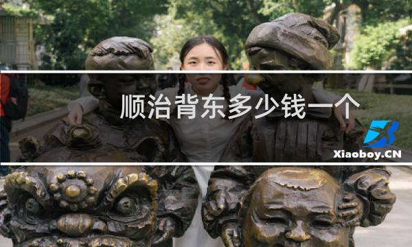 顺治背东多少钱一个