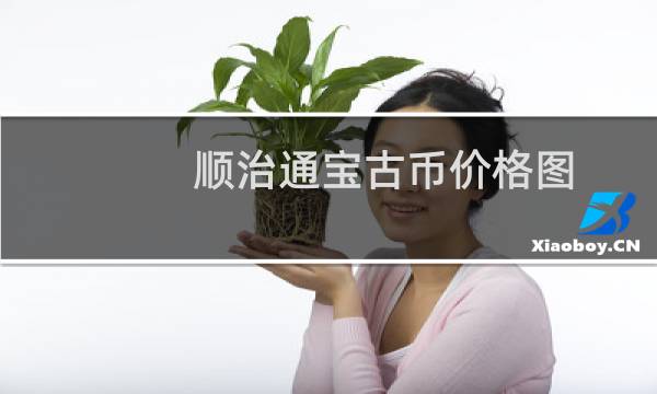 顺治通宝古币价格图