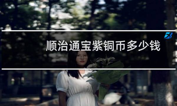 顺治通宝紫铜币多少钱