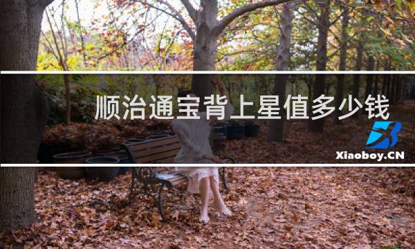 顺治通宝背上星值多少钱