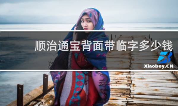 顺治通宝背面带临字多少钱