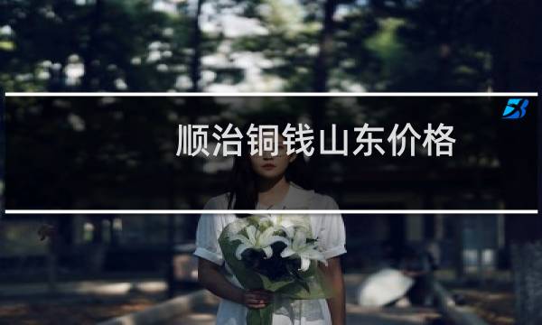 顺治铜钱山东价格