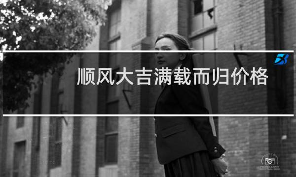 顺风大吉满载而归价格