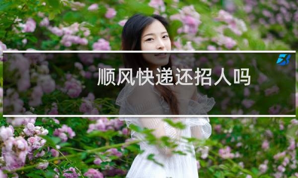 顺风快递还招人吗