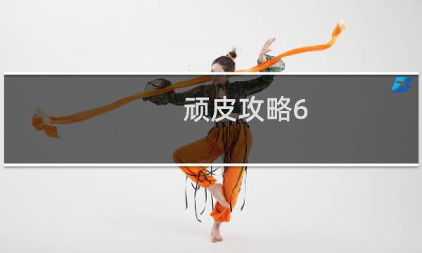 顽皮攻略6