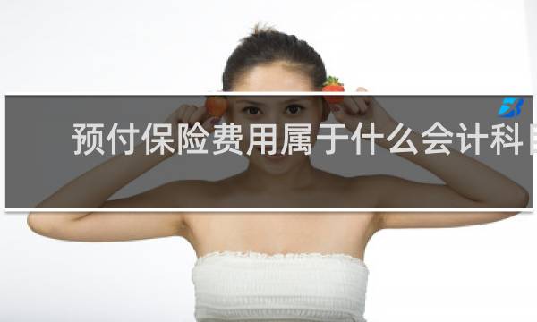 预付保险费用属于什么会计科目