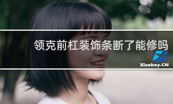领克前杠装饰条断了能修吗