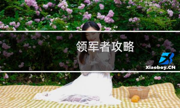 领军者攻略 国家
