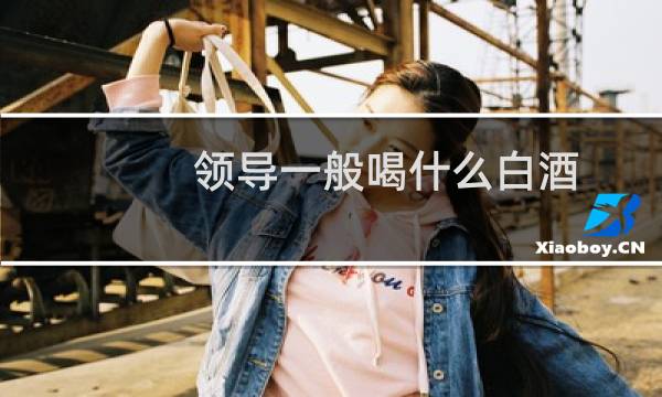领导一般喝什么白酒