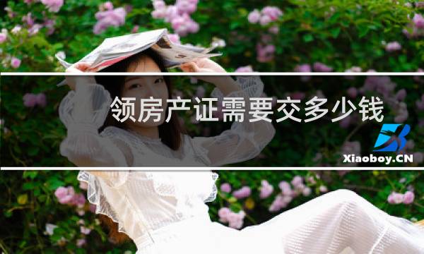 领房产证需要交多少钱