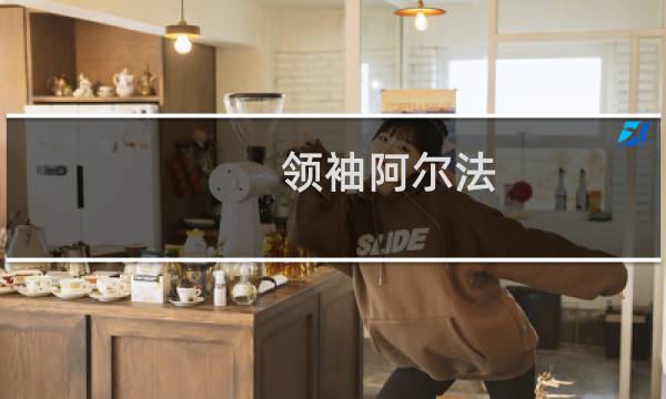 领袖阿尔法 攻略