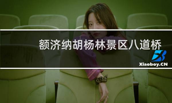 额济纳胡杨林景区八道桥